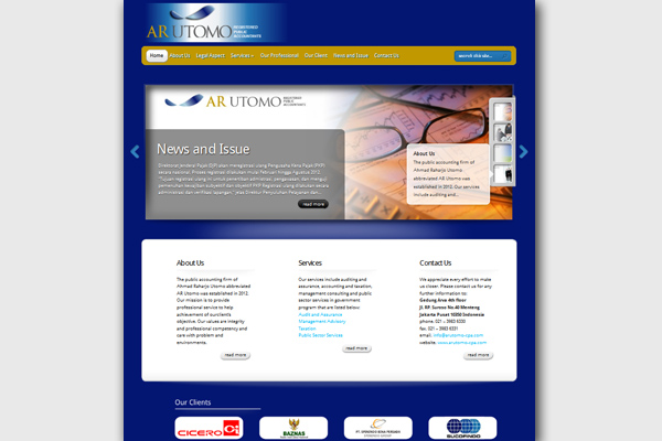 The Public Accounting Firm Website