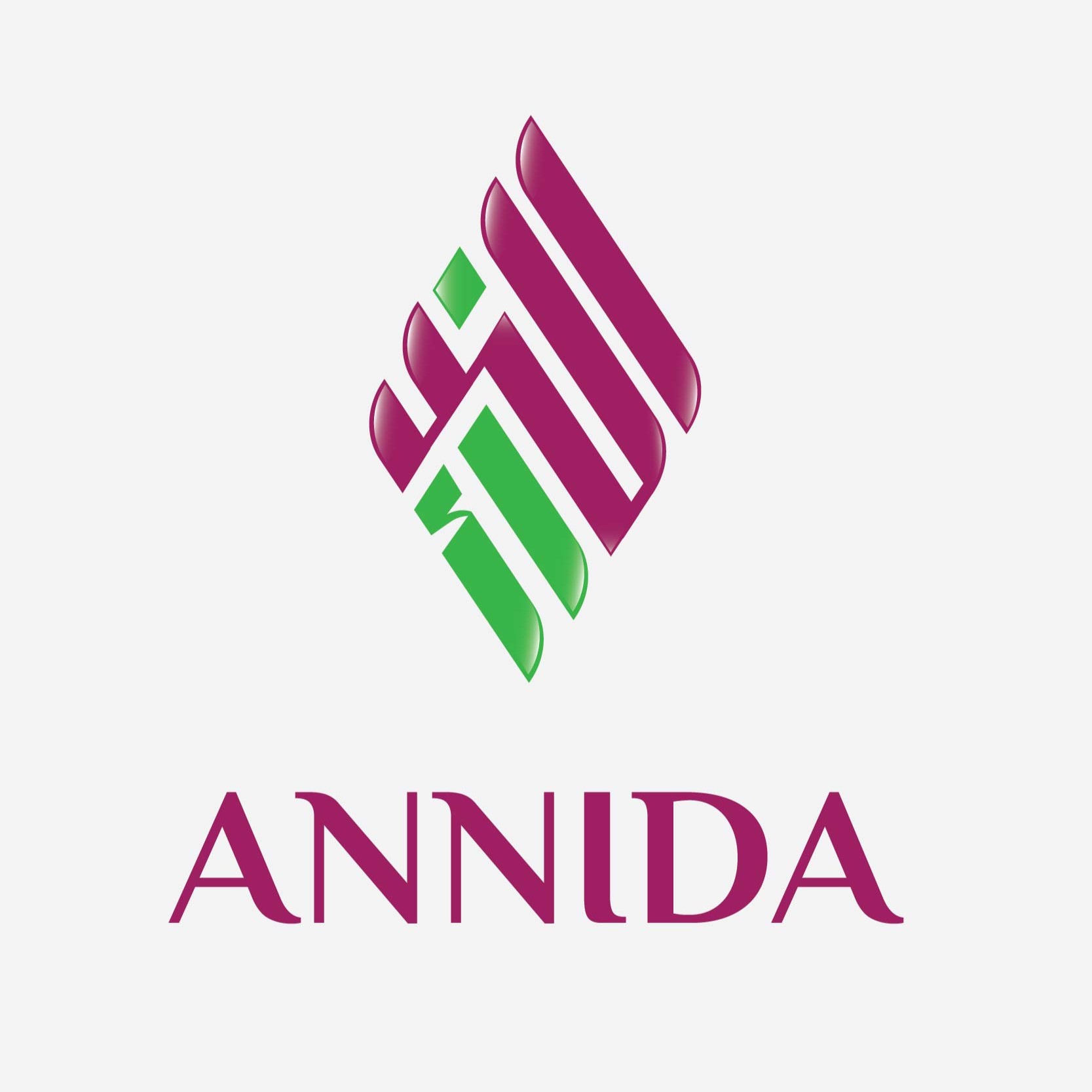 Graphic Design and Branding Portfolio _Annida Logo
